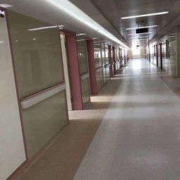 天津智领 以新型建材铸造绿色未来